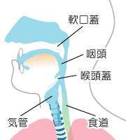 摂食嚥下障害 蒲田の歯医者なら 菊地歯科医院